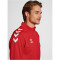 hummel Core XK Poly 1/2-Zip Trainings-Top Herren true red XXL