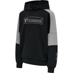 hummel hmlBOXLINE Hoodie Mädchen black 104