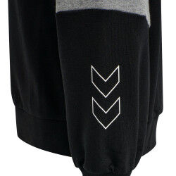 hummel hmlBOXLINE Hoodie Mädchen black 104