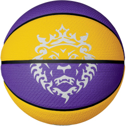 NIKE Playground 8P L James Basketball 575 court...