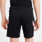 NIKE Paris Saint-Germain Strike Away Dri-FIT Shorts Kinder
