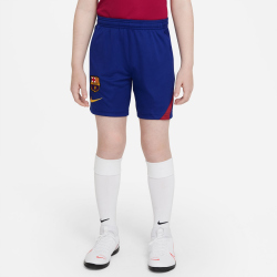 NIKE FC Barcelona Academy Pro Dri-FIT Shorts Kinder
