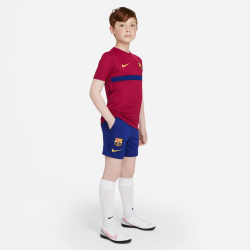 NIKE FC Barcelona Academy Pro Dri-FIT Shorts Kinder