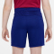 NIKE FC Barcelona Academy Pro Dri-FIT Shorts Kinder