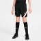 NIKE Paris Saint-Germain Strike Away Dri-FIT Shorts Kinder black/arctic punch/arctic punch L (147-158 cm)
