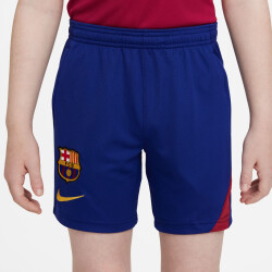 NIKE FC Barcelona Academy Pro Dri-FIT Shorts Kinder deep...