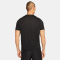 NIKE Dri-FIT Run Division Rise 365 kurzarm Laufshirt Herren black/reflective silv S
