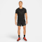 NIKE Dri-FIT Run Division Rise 365 kurzarm Laufshirt Herren black/reflective silv S