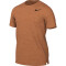 NIKE Dri-FIT Superset Herren Trainingsshirt sport spice/black S