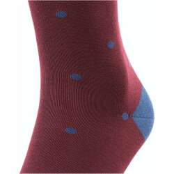 FALKE Dot Kniestrümpfe Herren 8596 - barolo 39-42