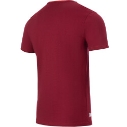 uhlsport 1. FC Köln Pro Karnevalsshirt 2021/22 burgund M