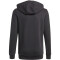 adidas Essentials Hoodie Jungen black/white 104