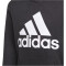 adidas Essentials Hoodie Jungen black/white 104