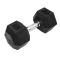 TRENDY SPORT Hex Dumbbell Hantel sechseckig schwarz 20 kg