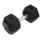 TRENDY SPORT Hex Dumbbell Hantel sechseckig schwarz 22,5 kg