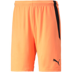 PUMA teamLIGA Trainingsshorts Herren neon citrus/puma...