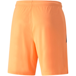 PUMA teamLIGA Trainingsshorts Herren neon citrus/puma black XXL