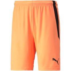PUMA teamLIGA Shorts Herren neon citrus/puma black XL
