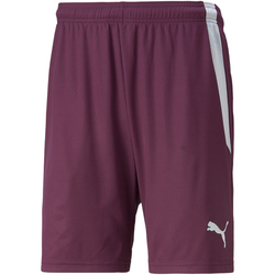 PUMA teamLIGA Trainingsshorts Herren grape wine/puma...