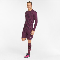 PUMA teamLIGA Trainingsshorts Herren grape wine/puma...