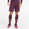 PUMA teamLIGA Trainingsshorts Herren grape wine/puma white XXL