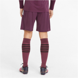 PUMA teamLIGA Trainingsshorts Herren grape wine/puma white L