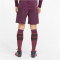 PUMA teamLIGA Trainingsshorts Herren grape wine/puma white M