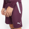 PUMA teamLIGA Trainingsshorts Herren grape wine/puma white M