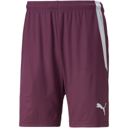 PUMA teamLIGA Trainingsshorts Herren grape wine/puma...