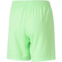 PUMA teamLIGA Trainingsshorts Kinder fizzy lime/puma...