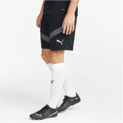PUMA teamFINAL Trainingsshorts Herren