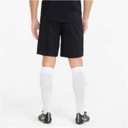 PUMA teamFINAL Trainingsshorts Herren