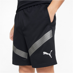 PUMA teamFINAL Trainingsshorts Herren