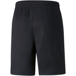 PUMA teamFINAL Trainingsshorts Herren