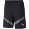 PUMA teamFINAL Trainingsshorts Herren
