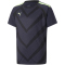 PUMA teamLIGA Graphic Trikot Kinder