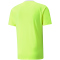 PUMA teamLIGA Multisport Trainingsshirt Herren