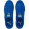 PUMA Handball Torwart Handballschuhe PUMA royal/PUMA white/gum 46