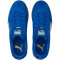 PUMA Handballschuhe PUMA royal/PUMA white/gum 47