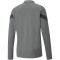 PUMA teamFINAL Training 1/4-Zip Top Slim Fit Herren smoked pearl/puma black/puma silver M
