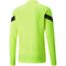 PUMA teamFINAL Training 1/4-Zip Top Slim Fit Herren yellow alert/puma black/puma silver 3XL