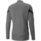PUMA teamFINAL Trainingsjacke Herren smoked pearl/puma black/puma silver M
