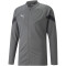 PUMA teamFINAL Trainingsjacke Herren smoked pearl/puma black/puma silver L
