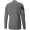 PUMA teamFINAL Trainingsjacke Herren smoked pearl/puma black/puma silver L