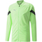 PUMA teamFINAL Trainingsjacke Herren fizzy lime/puma black/puma silver L
