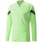 PUMA teamFINAL Trainingsjacke Herren fizzy lime/puma black/puma silver XXL