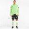 PUMA teamFINAL Trainingsjacke Herren fizzy lime/puma black/puma silver XXL