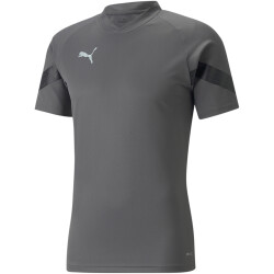 PUMA teamFINAL Trainingsshirt Herren smoked pearl/puma...