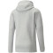 PUMA teamFINAL Casuals Kapuzenjacke Herren light gray heather XL