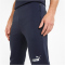 PUMA teamFINAL Casuals Jogginghose Herren parisian night XL